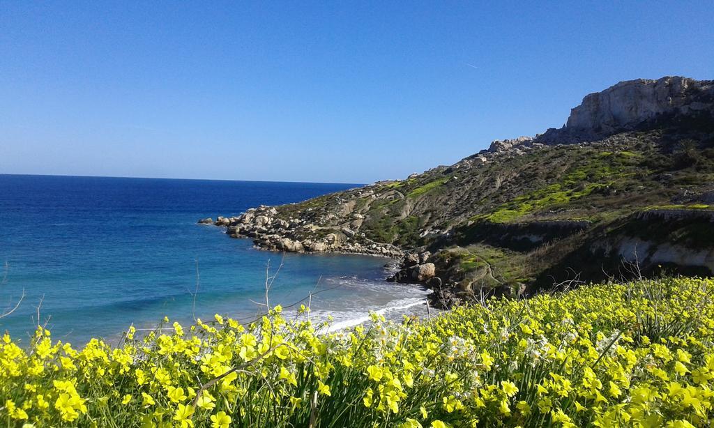 White Stallion Mellieħa Kültér fotó